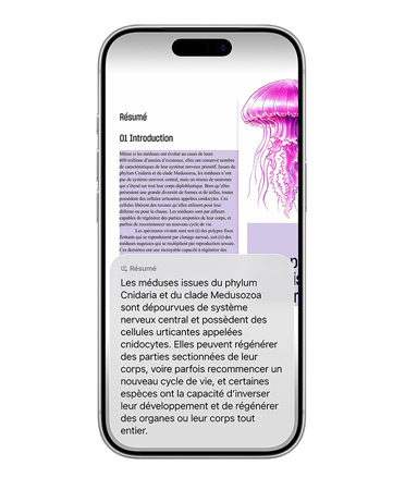 iPhone montrant un agencement d’images présentant différentes lampes champignon sur Etsy, à côté d’onglets Google et Pinterest