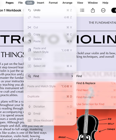 Close up of menu bar with options for Undo, Redo, Cut, Copy, Paste, and more